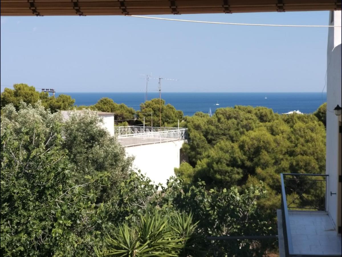 Aelia Houses Agia Marina  외부 사진